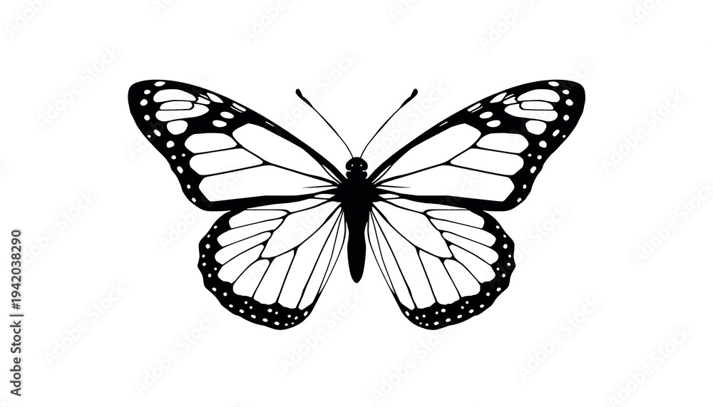 Obraz premium Beautiful butterfly with delicate wings and intricate details