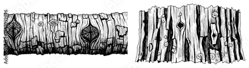 Detailed tree bark textures and wooden log surface patterns in hand drawn engraving style