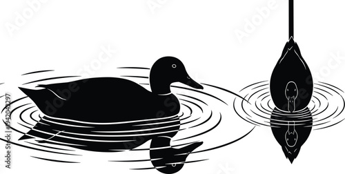 Mallard duck silhouette vector illustration set, swimming on water with ripple reflections, isolated nature icons for hunting and lake life.