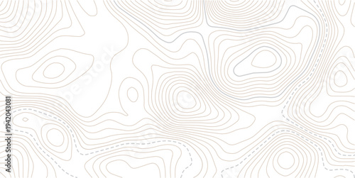 Vector geographic contour mounted map background.The stylized height of the topographic map contour in lines and contours isolated on transparent.Concept of simple geography and terrain .
