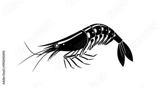 A black and white illustration of a shrimp against a white background, in a sleek silhouette