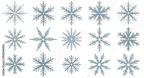 Collection of Various Snowflakes with Unique Crystal Patterns.