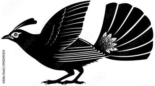Stylized, black and white depiction of a bird in profile with raised wing and elaborate tail