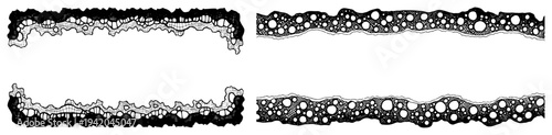 Set of decorative horizontal borders with organic bubble and cell textures
