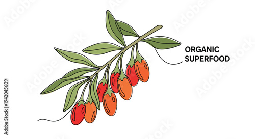 Bunch of bright red goji berries on a branch with green leaves shown in a continuous line drawing style representing healthy organic superfood diet.