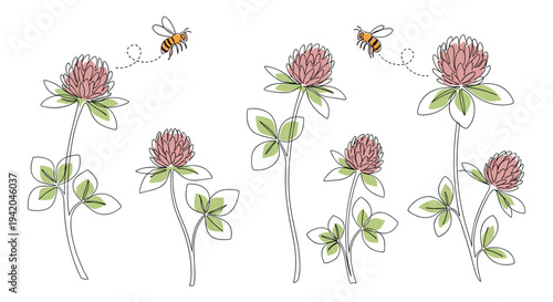 Beautiful group of red clover flowers with green leaves and two honey bees flying around them in a continuous line art drawing style.