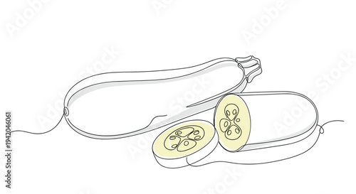 Fresh green zucchini squash with a whole vegetable and cut circular slices depicted in a minimalist single line drawing on white.