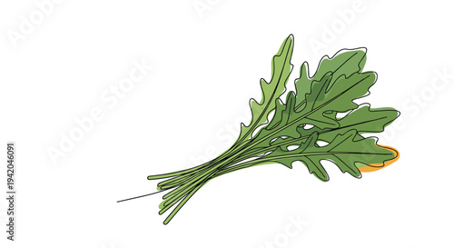 Bundle of fresh green arugula leaves tied together in a bunch shown in a minimalist continuous line drawing style for healthy food design.