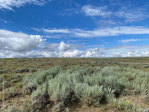 Sage brush covers the landscape of northeast Utah near the Green River. This was one of the areas frequented by American outlaw Butch Cassidy and the Hole in the Wall gang.