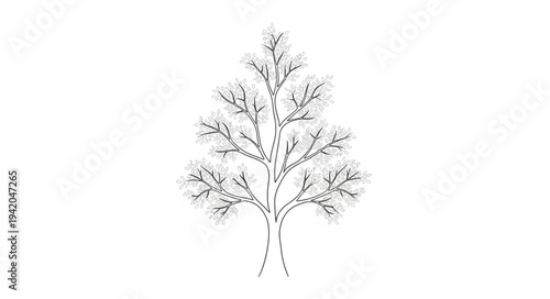 Detailed Illustration of a Leafless Tree with Branches.