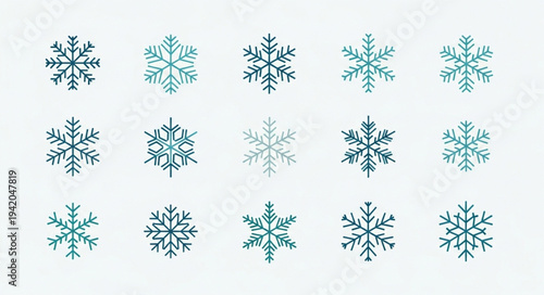 Collection of Various Snowflakes with Unique Patterns.