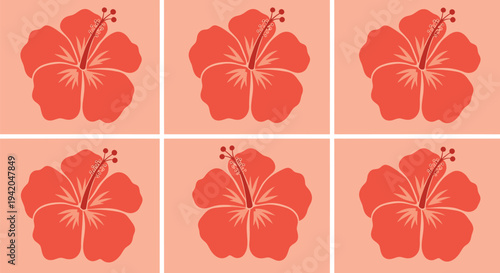 Set of 6 hibiscus flower icons vector