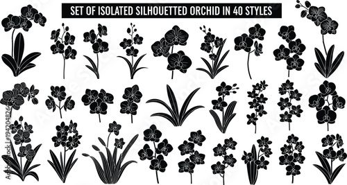 Set of isolated silhouetted orchid flowers in forty styles, black floral vector elements, botanical bloom silhouettes, tropical plant collection for design.