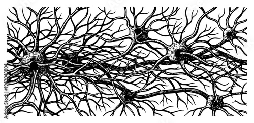 Microscopic network of human neurons and brain cells in hand drawn etching style