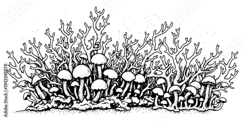 Hand drawn forest floor with diverse mushrooms and intricate coral branches in vintage ink style