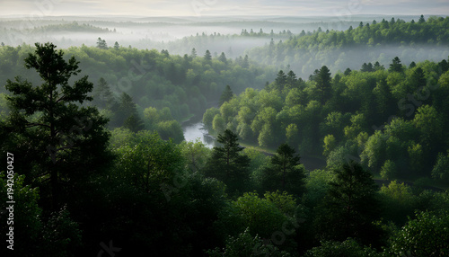 Misty morning sun illuminates a lush green forest with a winding river in a serene landscape.