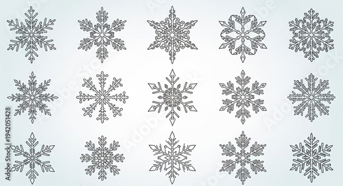 Collection of Various Snowflakes with Unique Crystal Patterns.