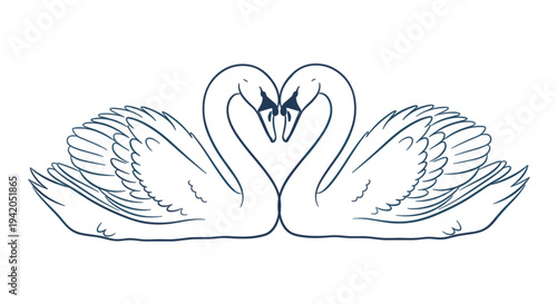 Set of 2 swans forming heart shape vector illustration