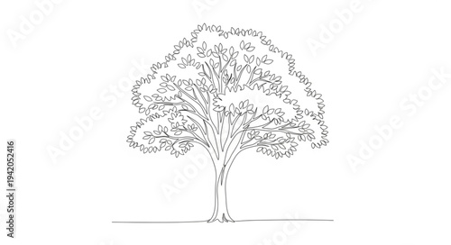 Detailed Illustration of a Large Tree with Dense Foliage.