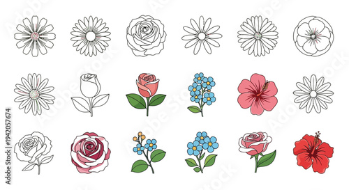 Various flowers depicted as detailed line art and color.