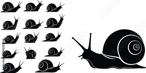 Silhouettes of snails in diverse poses and shell patterns including detailed spiral design showcasing natural diversity biology education and creative iconography themes