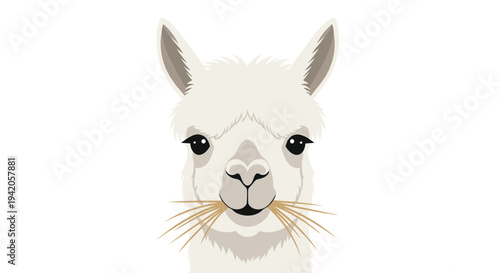 A fluffy white alpaca head with prominent light brown whiskers and dark round eyes is depicted frontally on a clean white background.