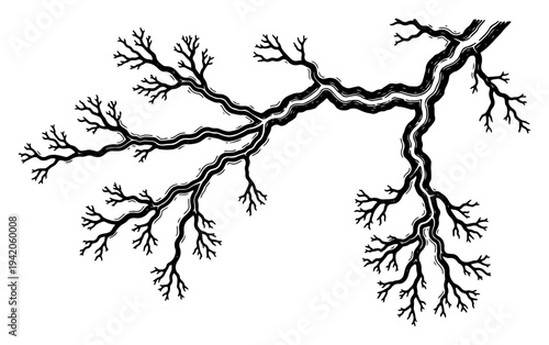 Hand drawn bare tree branch or lightning strike in vintage engraving style