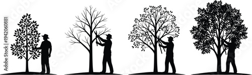 Gardener pruning and caring for trees silhouette set, tree maintenance growth stages garden work vector illustration isolated