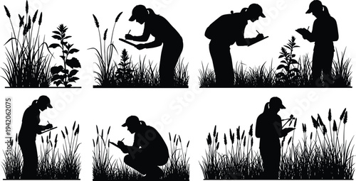 Scientists researching plants in field silhouette set, botanist studying vegetation ecology and nature research, black vector illustration  