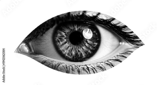 Human Eye Close Up Vision Anatomy Halftone Illustration