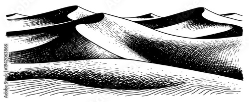Beautiful desert landscape illustration featuring sand dunes with detailed cross hatching