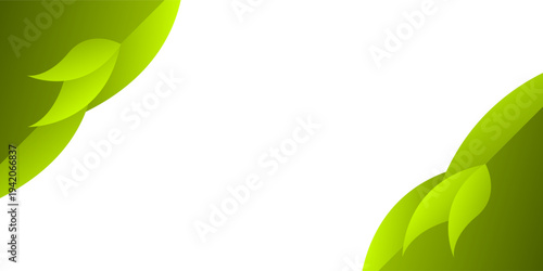 Abstract leaf green shape modern background with white space for text and message. template design	