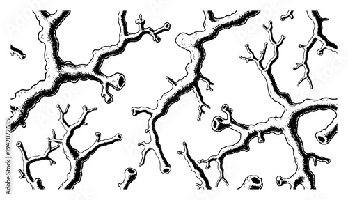 Clean woodcut style illustration of branching sea coral or gnarled twigs on a white background