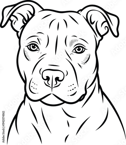 A black and white line drawing of a pit bull dog with a sweet expression