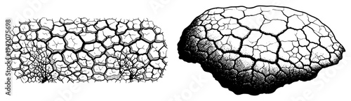 Set of hand drawn vintage textures showing cracked dry earth and a stone