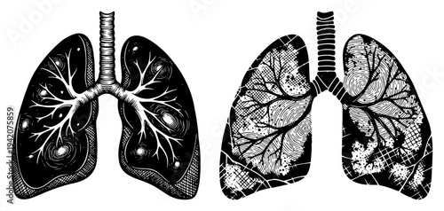 Two detailed hand drawn illustrations of human lungs with vintage engraving and cross hatching textures