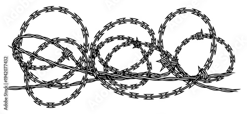 Sharp razor wire coils and barbed wire fence illustration in hand drawn vintage engraving style