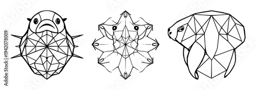 Geometric tardigrade set with symmetrical line art of a microscopic biology theme featuring white background, modern style, detailed limbs with segmented body and clear contours