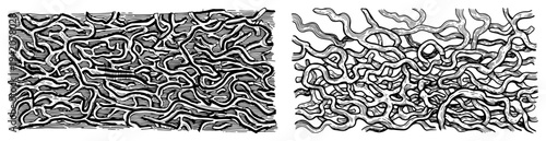 Abstract woodcut engraving featuring complex tangled roots and organic vine patterns in two panels