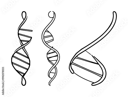DNA double helix set with sleek modern lines on white background featuring vector, geometric, icon with biotechnology and illustration