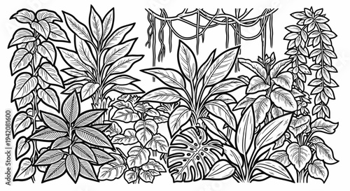 Detailed black and white line art illustration of lush tropical jungle plants and climbing vines, botanical rainforest foliage