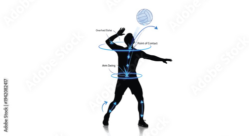 Vector illustration of a person with highlighted muscle groups