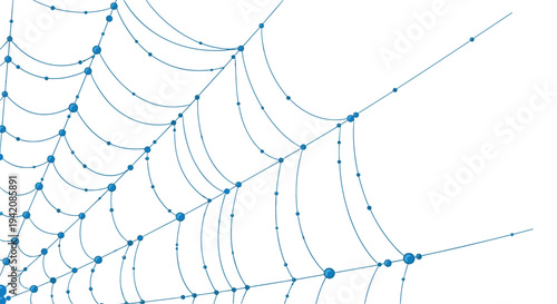 A close-up partial view of an intricate blue spider web fills the frame, showcasing numerous small dots at strand intersections on a white background.