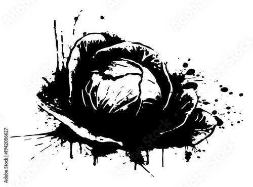 Fresh cabbage vegetable drawing in artistic ink splash and grunge paint style