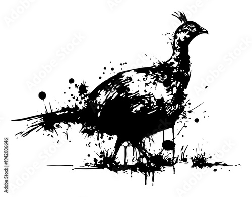 Wild pheasant bird walking in artistic ink splash and grunge hand drawn style