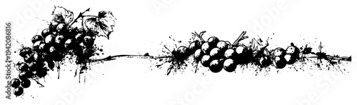 Artistic horizontal border with grapes and vine leaves in black ink splash style