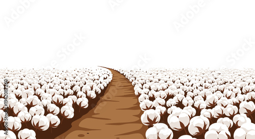 A winding brown dirt path extends through a vast field densely covered with white cotton plants under a bright white sky.