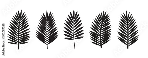 Tropical palm leaf silhouette icon set. Botanical foliage vector collection