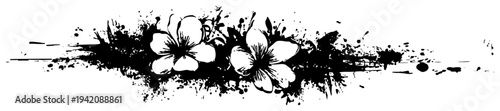Decorative floral horizontal divider with frangipani flowers and grunge ink splatters