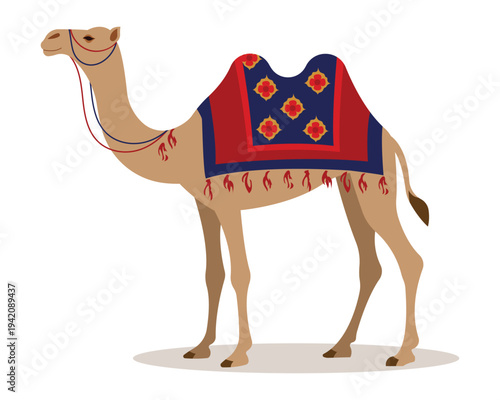 Camel with Saddle. Camel cartoon vector illustration.
